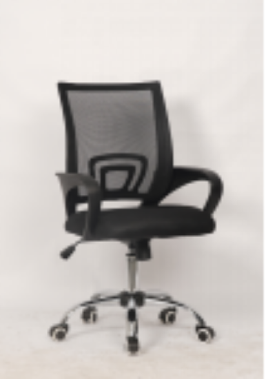 Imagem de Ergonomic Mesh Chair