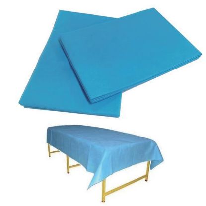 Imagem de Disposable Bed Sheet