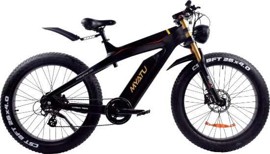 Imagem de EBike-CB02