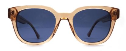 Imagem de Acetate glasses-LK2705S