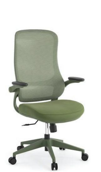 Imagem de Management & Conference Chair-2118