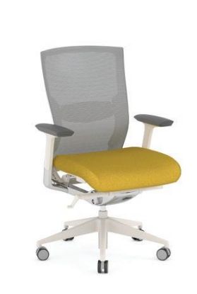 Imagem de Management & Conference Chair-3702