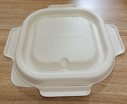 Imagem de Pulp Lid of DB280